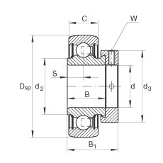 Cuscinetto RAE12-NPP-B INA