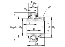 Cuscinetto G1100-KRR-B-AS2/V INA