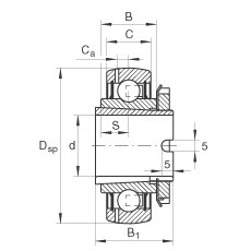 Cuscinetto GSH25-2RSR-B INA