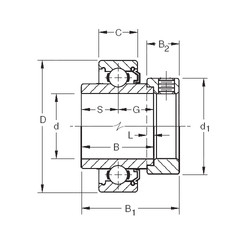 Cuscinetto N104KLL Timken