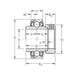 Cuscinetto G1100KLL Timken