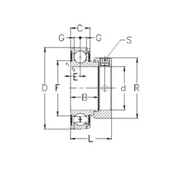 Cuscinetto GRAE60-NPPB NKE