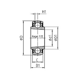 Cuscinetto UK208 SNR