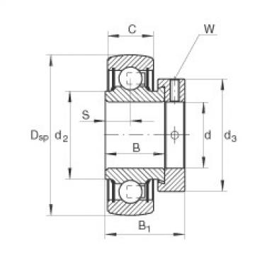 Cuscinetto RALE20-NPP-B INA