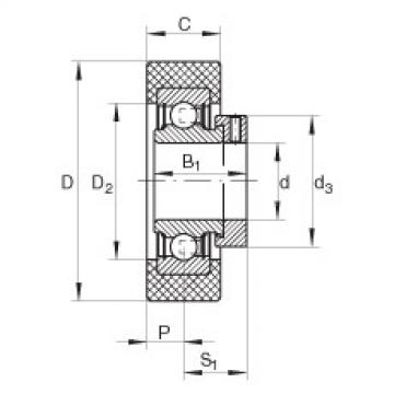 Cuscinetto RCSMA30/65-FA106 INA