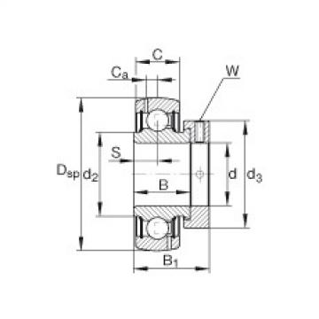 Cuscinetto GRA008-NPP-B-AS2/V INA