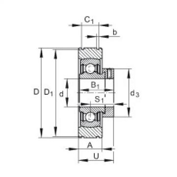 Cuscinetto PE25 INA