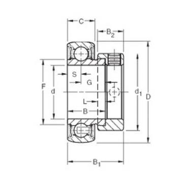 Cuscinetto RAL103NPPB2 Timken