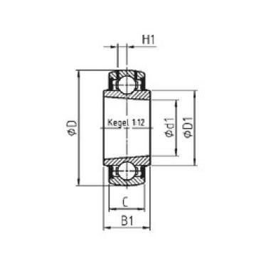 Cuscinetto UK205 SNR