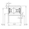 Cuscinetto CSCU 110.2RS INA