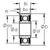 Cuscinetto SRW1-4-TT AST