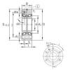 Cuscinetto ZKLF50115-2RS-PE INA