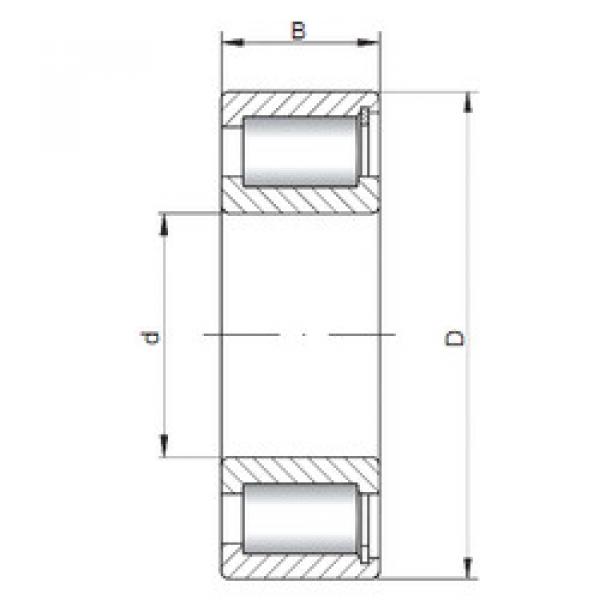 Cuscinetto NCF2219 V CX #1 image